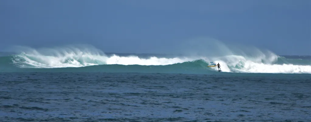 wing hawaii